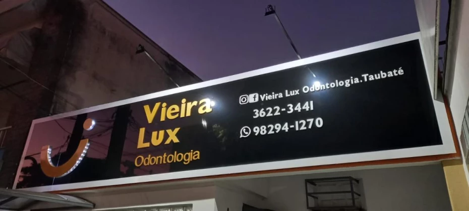 Foto 2:  — Dra. Ester M.S.Vieira Lux 